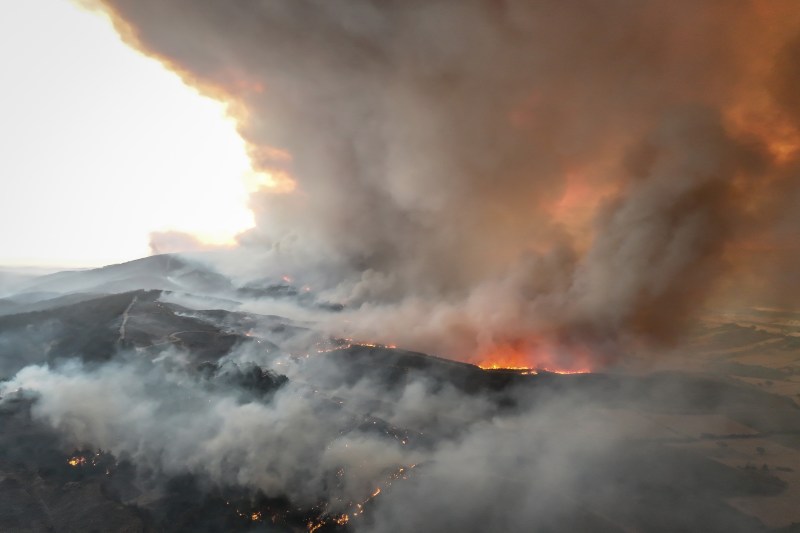 Incendiile devastatoare din Turcia au dus la evacuări masive într-o provincie populară printre turiști.