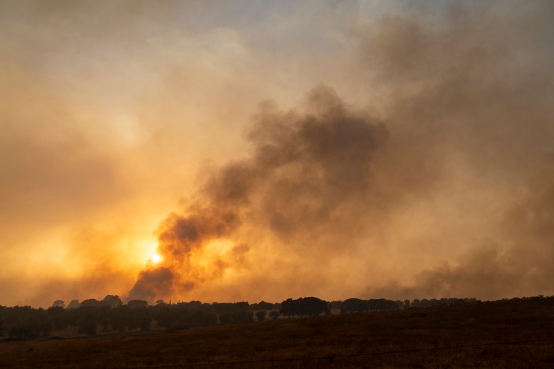 Incendiile din Spania au devastat zeci de mii de hectare de pădure, iar armata a fost mobilizată pentru a sprijini echipele de pompieri.