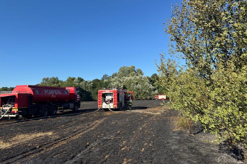 Incendiu devastator în Ilfov: 7 hectare de vegetație uscată și o locuință afectate, în timp ce flăcările se extind. Pompierii au instituit benzi de protecție pentru a preveni răspândirea către zona forestieră.