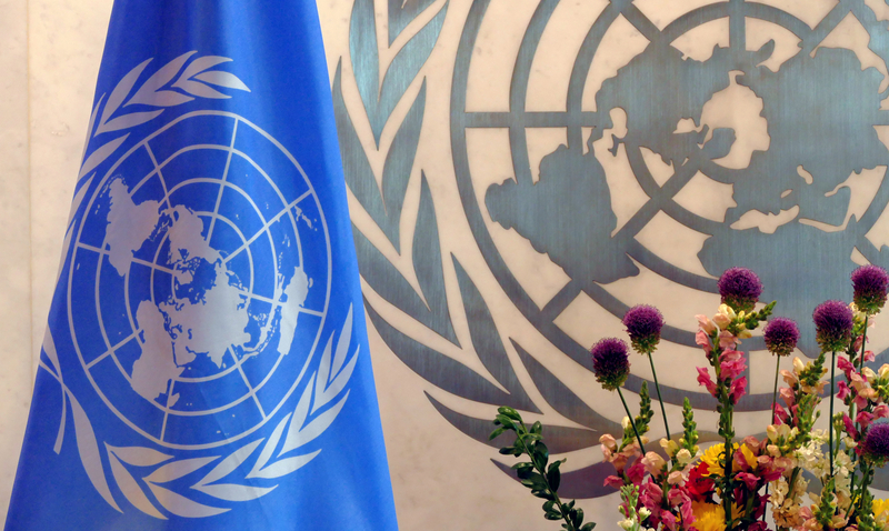 O română intră în prestigioasa Comisie ONU de experți
