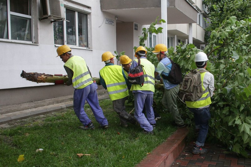 Peste 31.000 de locuri de muncă rămân neocupate, iar o analiză a pieței de muncă încearcă să explice motivele acestui fenomen. De ce nu există destui candidați pentru aceste posturi?