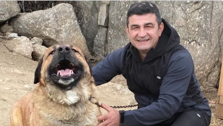 Un antreprenor român și-a pierdut viața lângă Madrid, încercând să salveze un vârstnic și mai mulți cai