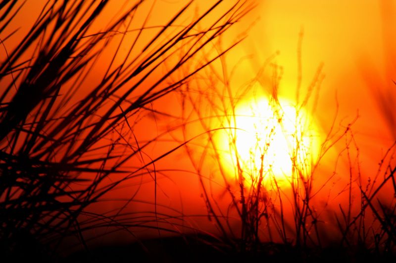 Vara 2024 în România a înregistrat un val de căldură fără precedent, rezultat dintr-o combinație rar întâlnită de fenomene meteorologice.