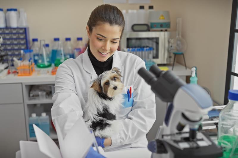 O transformare discretă a domeniului medical promite eliminarea treptată a testelor pe animale în viitorul apropiat.