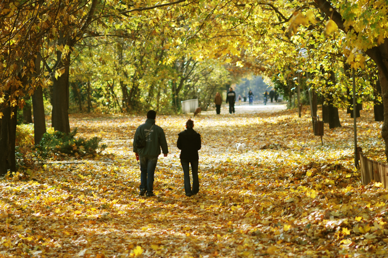 Vremea pe următoarea lună: ANM anticipează temperaturi peste media sezonieră și o perioadă cu ploi abundente în săptămânile ce urmează